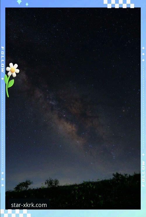 星空入口平台手机版下载与使用全攻略：从安装到畅玩，一篇搞定